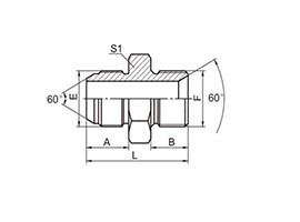 1SB Japanese Style British pipe external thread 60° external cone English pipe external thread 60° i