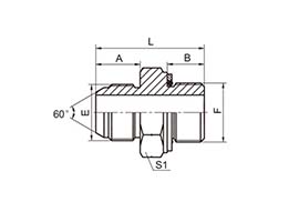 1SG Japanese British pipe external thread 60° external taper British pipe external thread O-ring